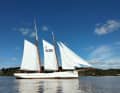 The pilot schooner “No. 5 Elbe” is sailing again – pictured here during a trial run on the River Elbe at the end of September.