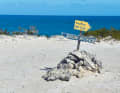 ... or exploring deserted islands