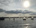 Regata giovanile sul Müggelsee: il CSV dispone di 16 imbarcazioni di proprietà del club per le giovani leve.