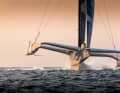 Le Tri en plein vol, à la proue, le skipper ressemble à un nain