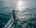 Offshore missiles such as Thomas Coville's "Sodebo" could sail to and from Heligoland on a round-the-world voyage.