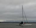 Pilota in carbonio "Defiant
