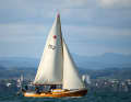Segeln, Austausch und Beisammensein: Zahlreiche hölzerne Klassiker kommen zum Classic Weekend am Bodensee zusammen.
