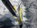 Der Skipper aus Le Havre hat 2019 schon das Transat Jacques Vabre gewonnen. Jetzt will er auch den Solo-Sieg