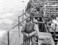 The victorious Allied powers organised the dumping of all munitions in German waters in the North Sea and Baltic Sea