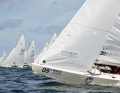 40 to 60 star boats are expected off Travemünde