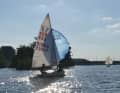 Vela, vela e ancora vela: è questo che conta per i soci dell’associazione di sport acquatici Heidelberg-West.
