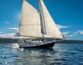 No cockpit, but a deckhouse instead. The all-weather yacht is as unconventional as its name after a giant clam