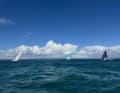 Hier fetzen die Class40-Teams los im Globe40.