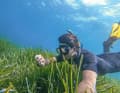Diving equipment is also available on board