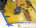 Nel precedente tentativo di riparazione, il laminato esterno era stato semplicemente incollato con uno stucco di poliestere. Questo aderisce male e può essere rimosso con uno scalpello senza grossi problemi.