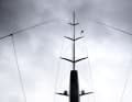 Den knapp 60 Meter hoch reichenden Carbonmast laminierte Huismans Schwesterbetrieb im niederländischen Vollenhove. Von den Backstagen gehen zwei Deflektoren ab