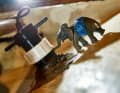 Bilgenelefant Bilgo wird hingegen vermutlich keine Artgenossen haben