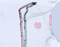 The routings according to the US (green) and European weather models (red). The black dots represent 24 hours in each case