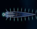 Arrow-shaped: Argentine designer Mani Frers is responsible for the concept, exterior design and construction of Project 410, which Royal Huisman will launch at the end of the year.
