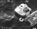 Die Crew rettet sich in eine Rettungsinsel und ein Dingi.