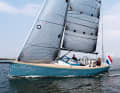 Saffier 33