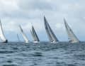 C'est parti : les 103 participants après le coup de départ.