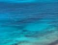 After three days on a desert island, he was rescued, details in the article!