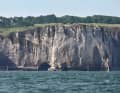 Versatile English Channel: Norman cliffs.