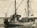 Die "Silbermöwe", ein Kriegsfischkutter unbekannten Baujahrs, wurde auch zur sogenannten "Schrottfischerei" eingesetzt.