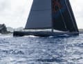 ... a pris le départ dans l'un des trois groupes "Corinthian Spirit". Les équipages amateurs n'ont pas mis de spi ou de gennaker, mais ont déroulé des voiles d'avant comme les Code Zero.