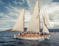 Once abandoned to decay, "Te Rapunga" is now sailing off Tasmania again in new condition