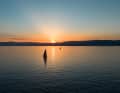 Enveloped in golden Mediterranean light: "Malizia - Seaexplorer". | Flore Hartout/The Ocean Race Europe 2025