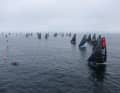 Conditions were flat at the start, "Malizia-Seaexplorer" in the foreground in a good position at the start line