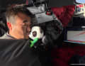 The first Chinese Vendée Globe skipper, Jingkun Xu, shows his best friend on board: a plush panda bear that "stands by him in times of fear and loneliness".