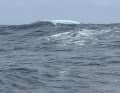An iceberg, taken from on board the "MS Amlin".