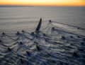 È stata la sua finale più importante: la trionfale cavalcata di Charlie Dalin alla Vendée Globe 2024/2025. Ora la Vendée Arctique, i suoi velisti, i partner e i tifosi dedicano la loro finale al “re dell’IMOCAs”, scomparso l’11 giugno 2026.