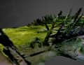 Das Wrack kann als 3D-Modell betrachtet werden.