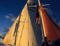 Thies Matzen, Skipper und Eigner seit 1982, im Rigg seiner „Wanderer III“