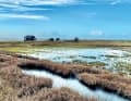 Le paysage hivernal de Birkholm est glacial et solitaire