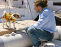 Salite sul gommone! Quando si getta l'ancora, è obbligatorio scendere a terra con il gommone. Un giubbotto di salvataggio è importante per il cane