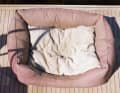 Couchette pour chien. Les chiens peuvent dormir jusqu'à 20 heures par jour. Un lieu de retraite confortable est donc particulièrement important.