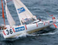 Transat 2004: Qualifying regatta across the Atlantic for the Vendée Globe 2004. 17 days, 18 hours and 35 minutes later, Sedlacek finishes 10th out of 17 participants in his first Imoca regatta