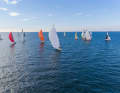 Una parte del campo di regata della 42a Schiffahrtsregatta al largo di Schleimünde sotto spinnaker.