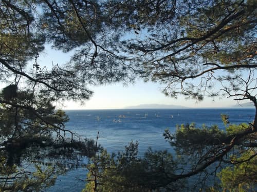 Windsurfspot Preluk