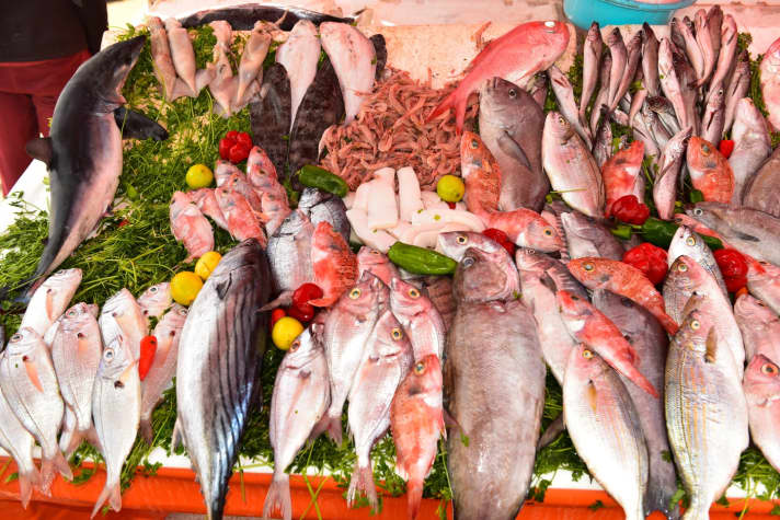 Frischer Fang auf dem Markt von Essaouira