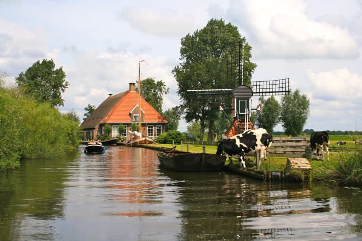   Friesland: 