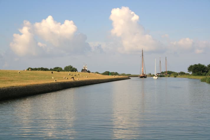   Östliches IJsselmeer 