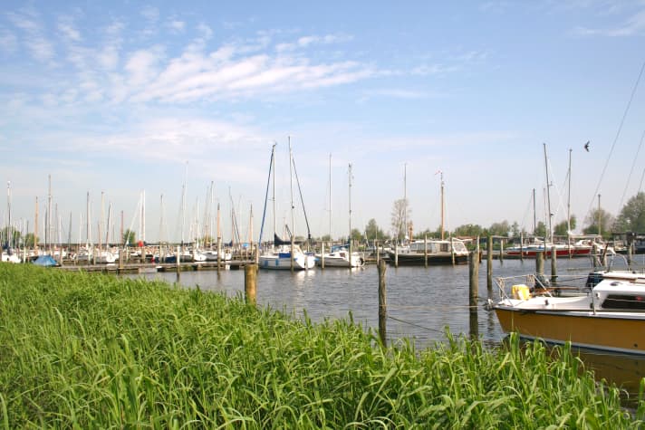   Friesland: 