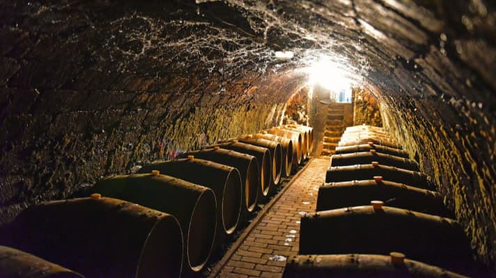 Tief unter dem Kvaszinger Weinberg lagern edle Tokajer-Weine in Holzfässern
