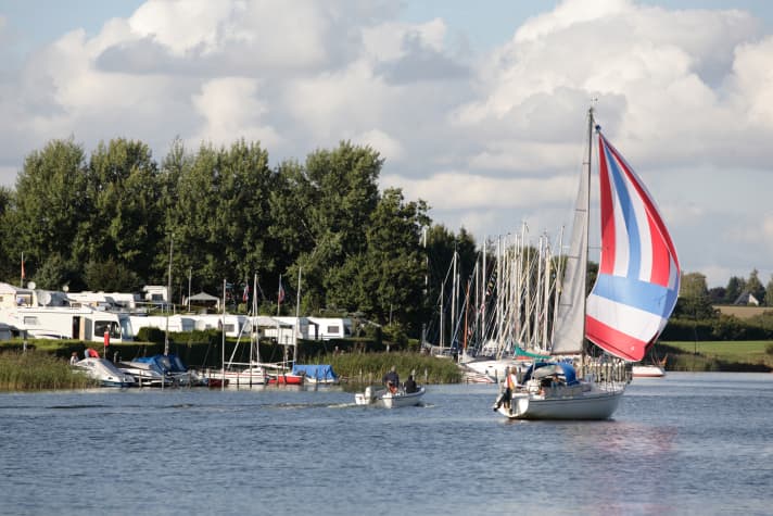   Die Schlei