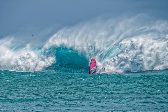 La Perouse Monsterswell 2022 –Robby war dabei!