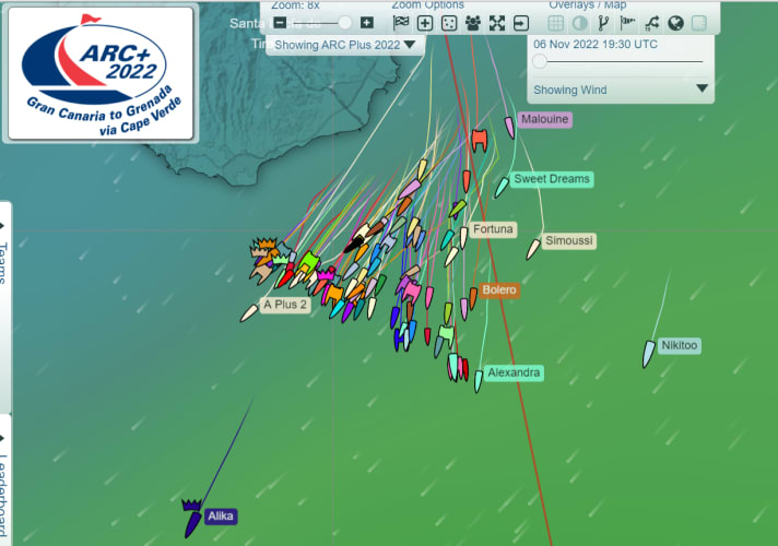 Während bei der Route du Rhum in Saint-Malo der Start wegen eines schweren Sturms verschoben wurde, erwartet die Fahrtensegler in den nächsten Tagen guter Passatwind