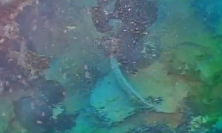   Unterwasseraufnahmen der "HMS Terror": Die Schiffsglocke ist darauf zu sehen