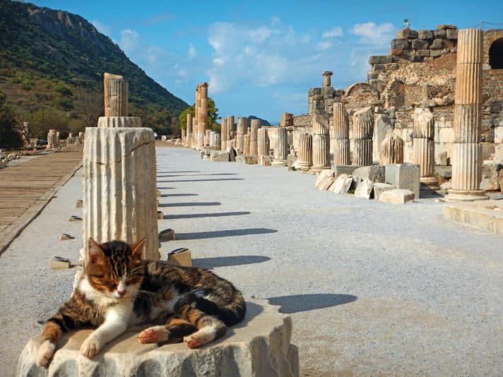   Die türkische Ägäisküste ist wie hier in Ephesos überreich an Zeugnissen aus der Antike
